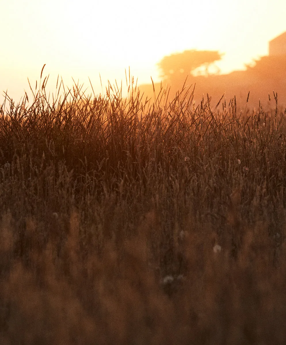 OK Wordmark Snap Hoodie - Outerworn sold by Outerknown product image thumbnail 3