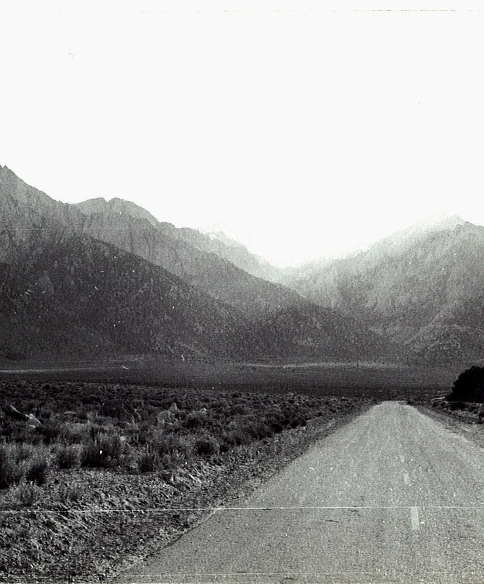 Ambassador Slim Fit - FINAL SALE - Outerworn sold by Outerknown product image thumbnail 3