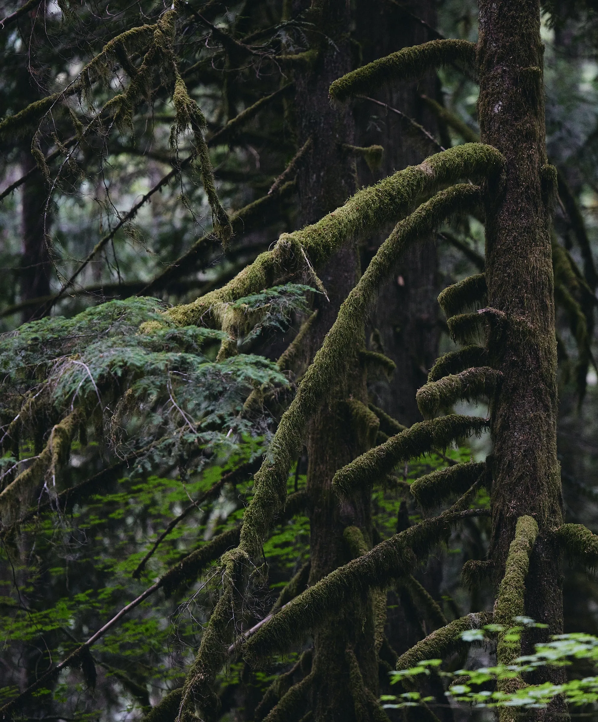 Blanket Shirt - SALE - Outerworn sold by Outerknown product image thumbnail 3