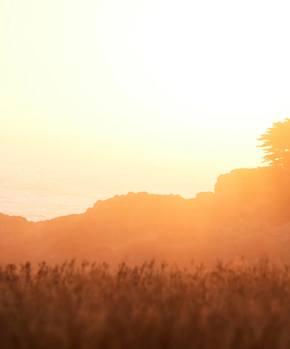 Cloud Weave Shirt Jacket - Outerworn sold by Outerknown product image thumbnail 3