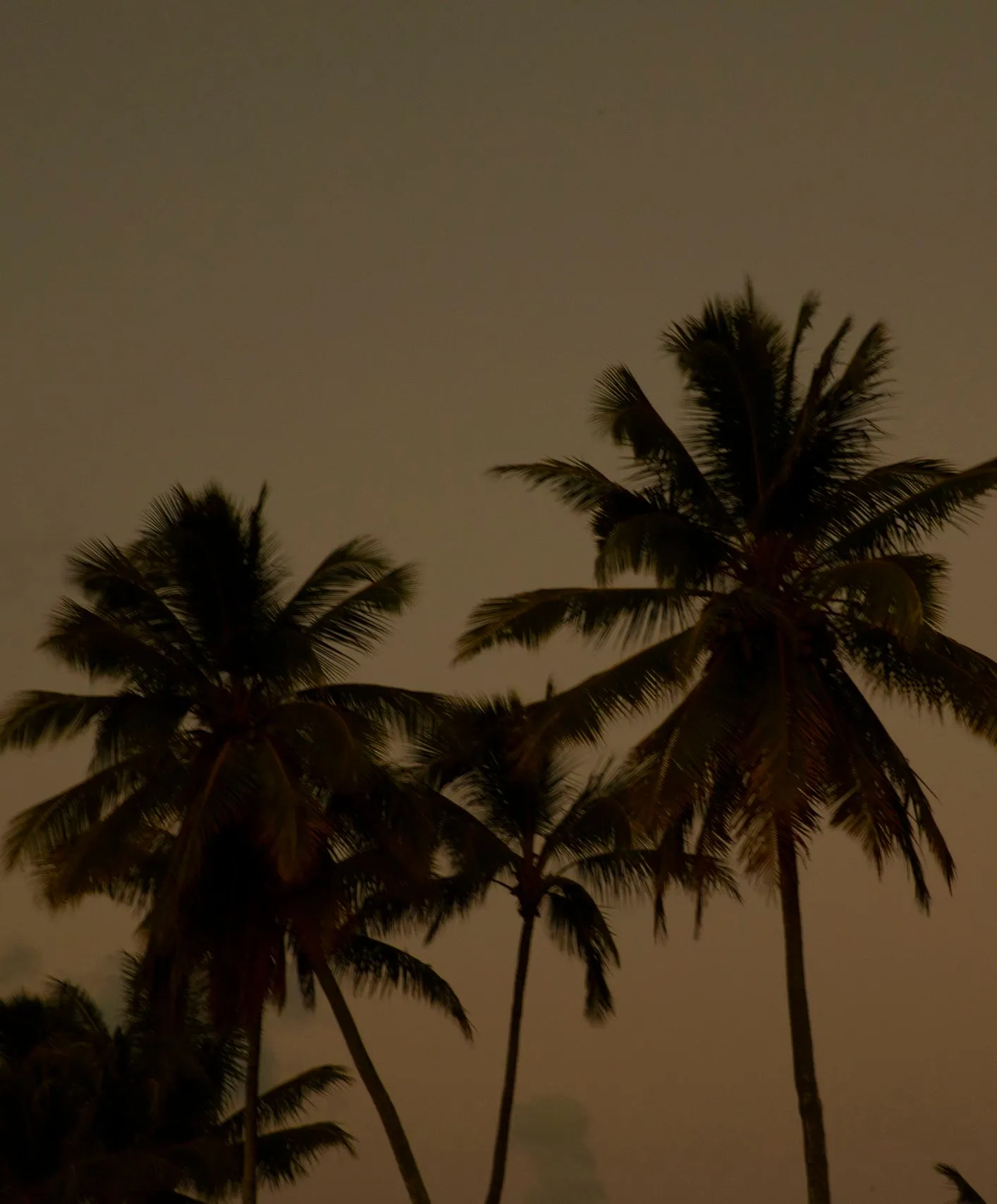 Offshore Linen Tank Dress - Outerworn sold by Outerknown product image thumbnail 3