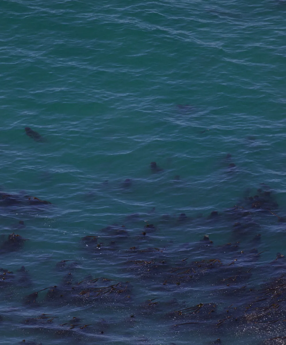 Sojourn Polo - SALE sold by Outerknown product image thumbnail 4