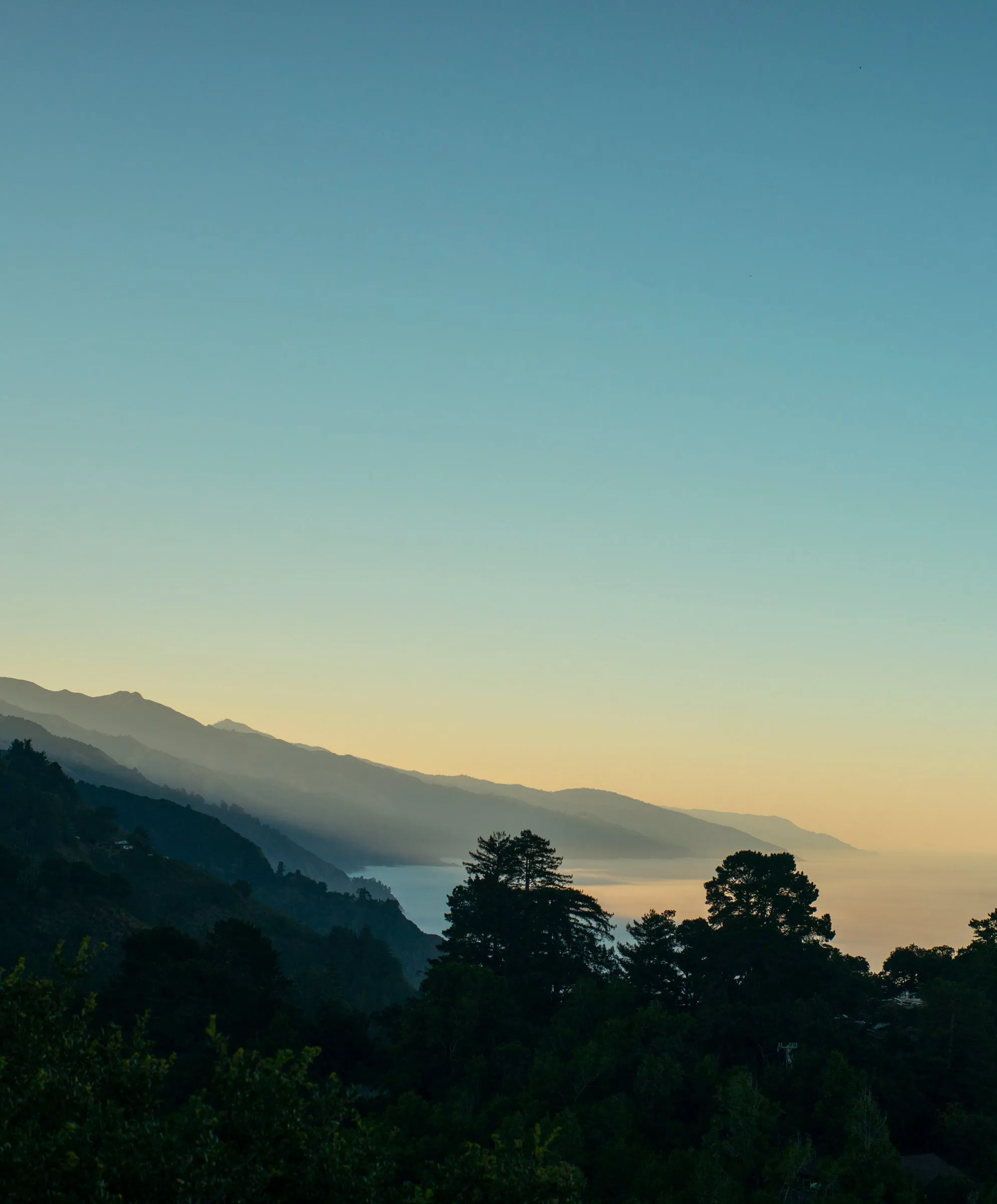 Women's OK Sport California S/S Sweatshirt - SALE sold by Outerknown product image thumbnail 4