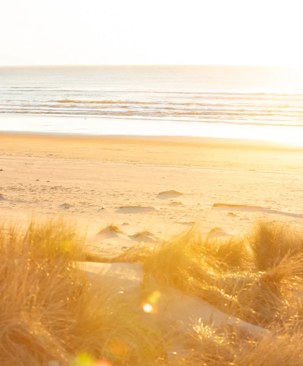 Station Jumpsuit - FINAL SALE sold by Outerknown product image thumbnail 3