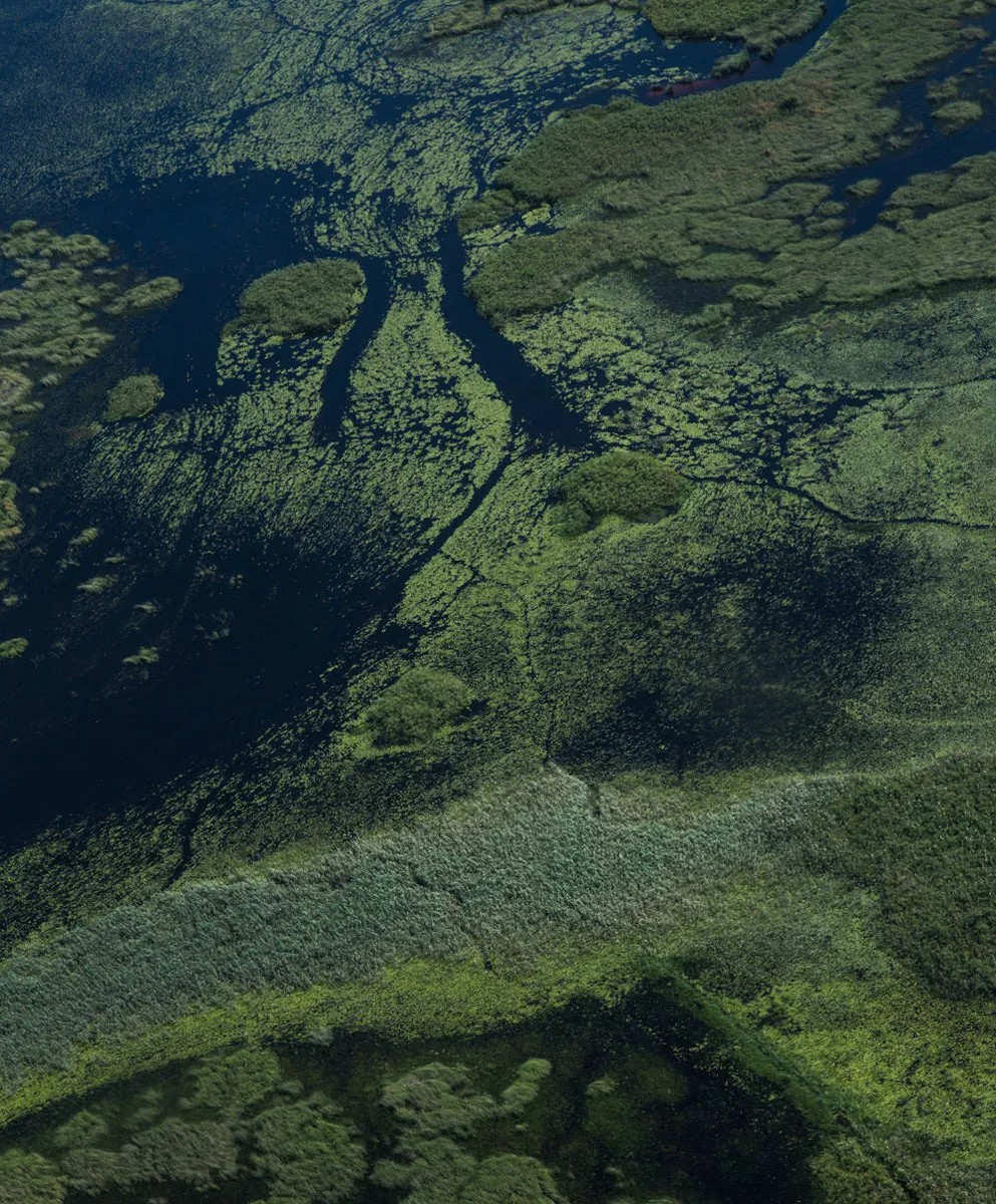 Seventyseven Cord Utility Shorts - SALE sold by Outerknown product image thumbnail 5