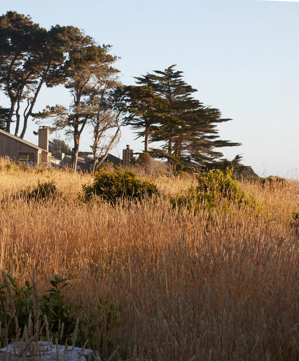 Sojourn Paris Tee - FINAL SALE sold by Outerknown product image thumbnail 5