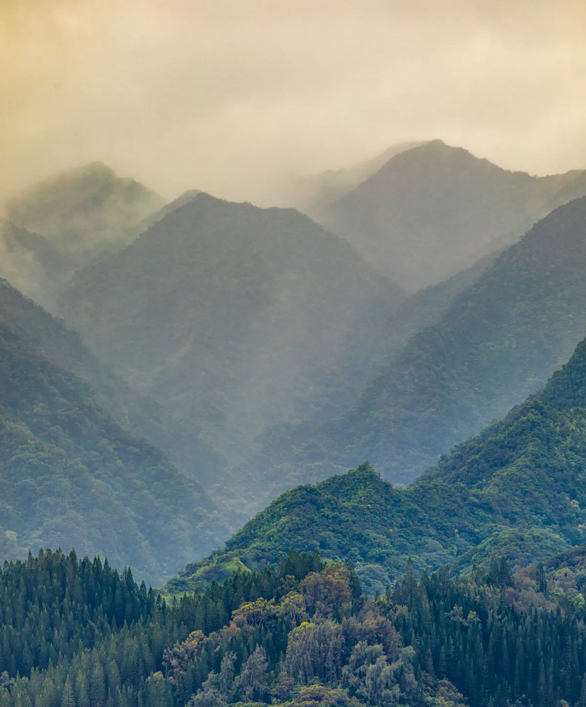 Astor Hoodie - FINAL SALE sold by Outerknown product image thumbnail 3