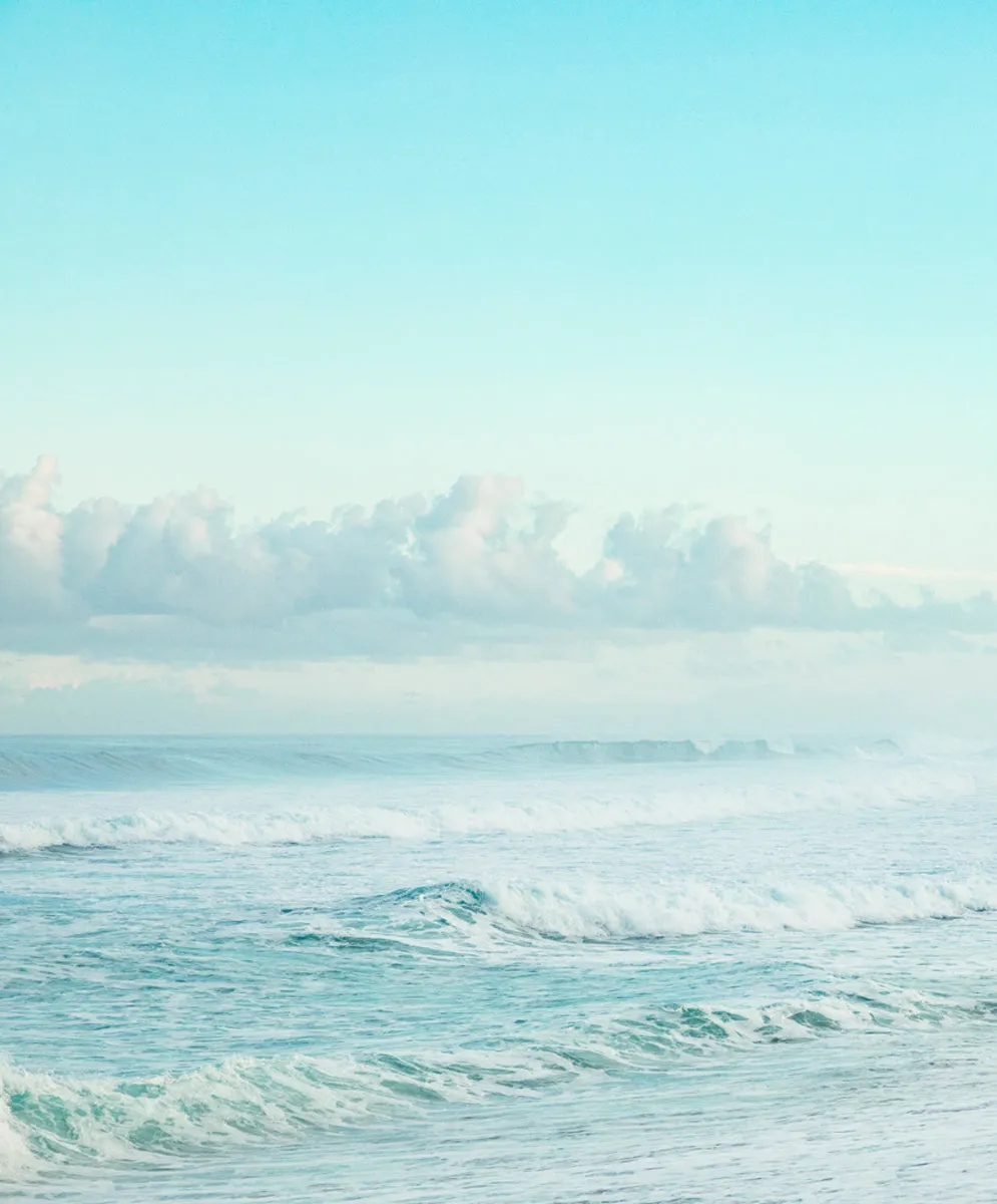 Women's California S/S Sweatshirt - FINAL SALE sold by Outerknown product image thumbnail 3