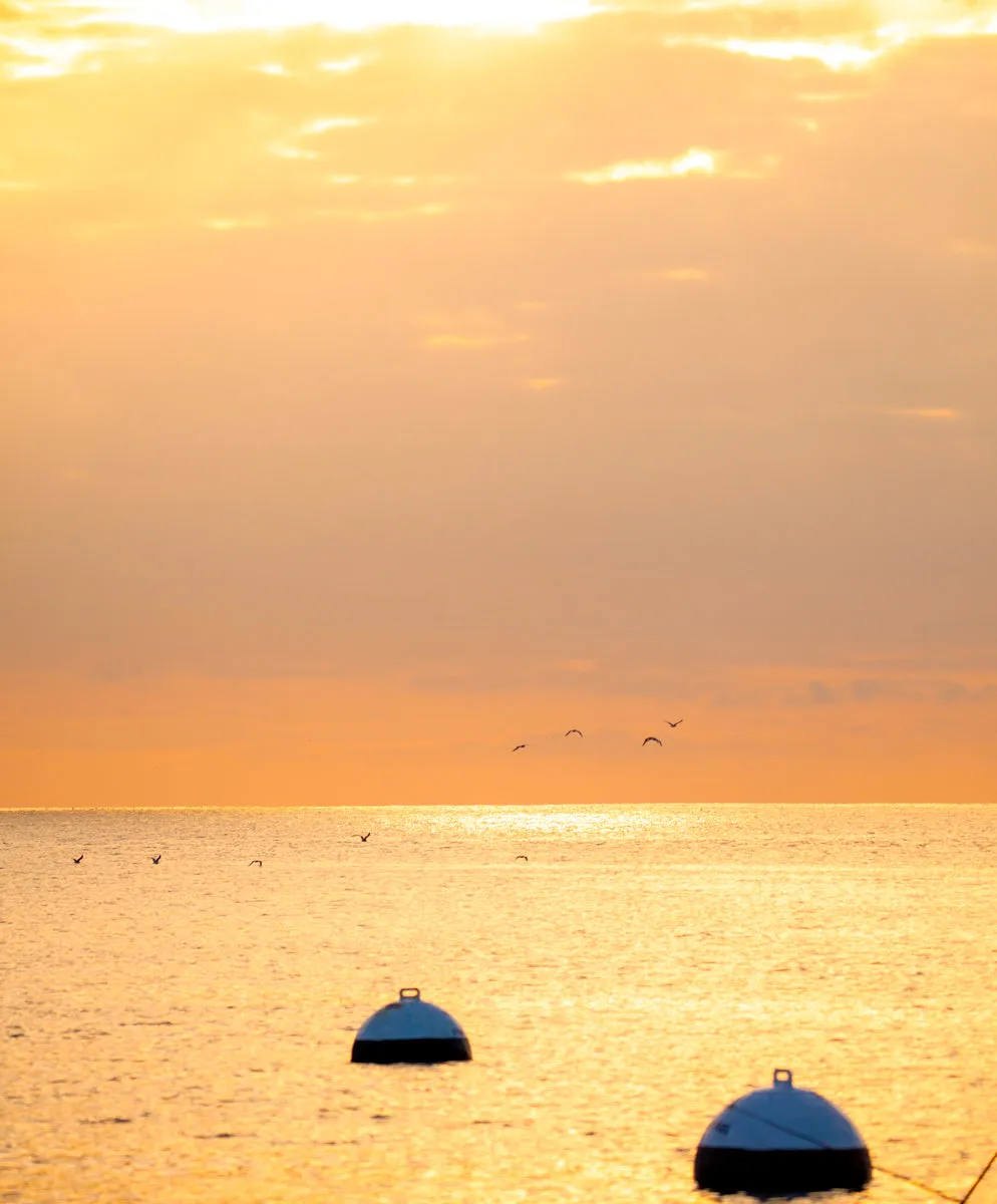 Hightide Crew - SALE sold by Outerknown product image thumbnail 3