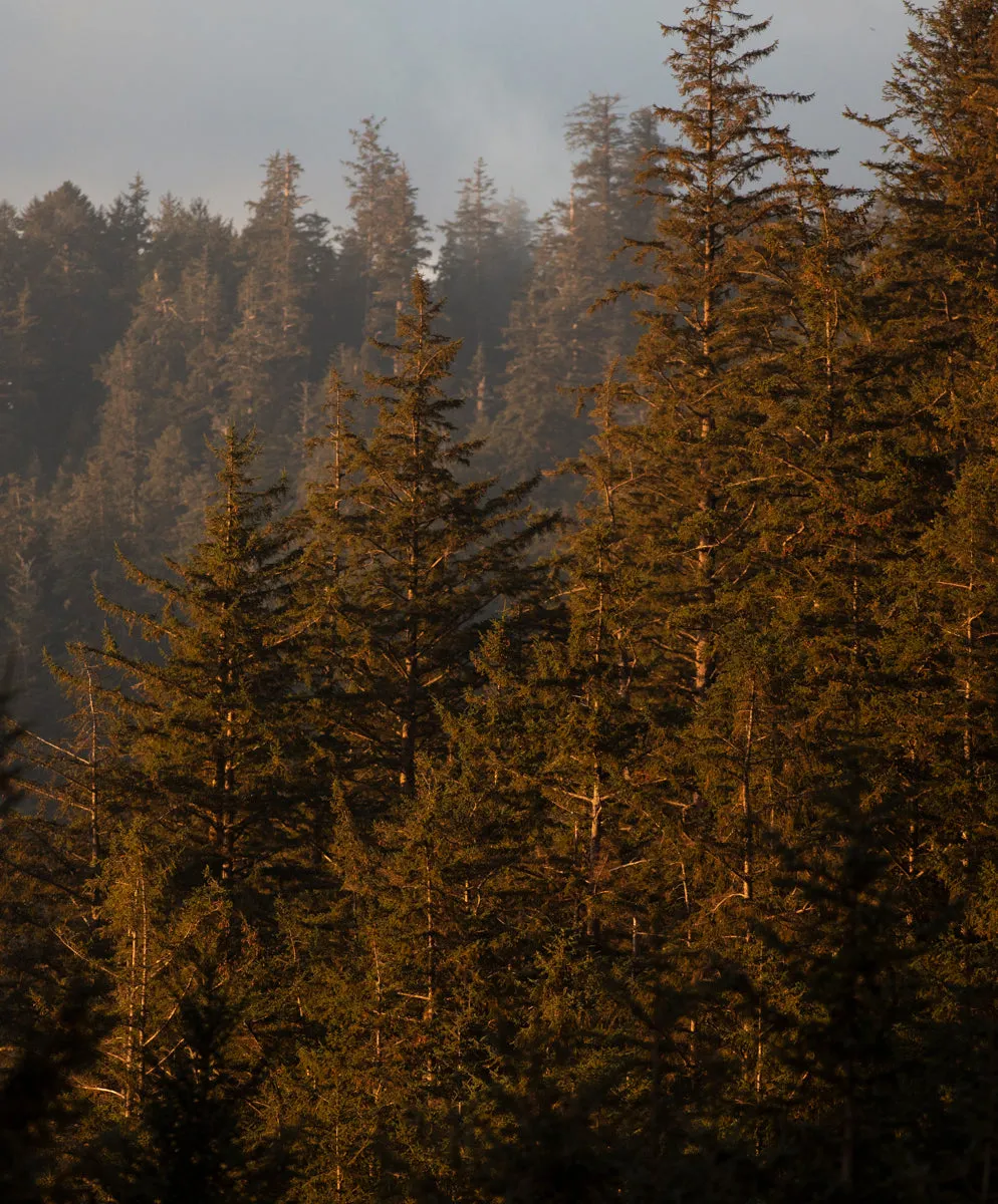 Tomales Donegal Sweater - FINAL SALE sold by Outerknown product image thumbnail 3