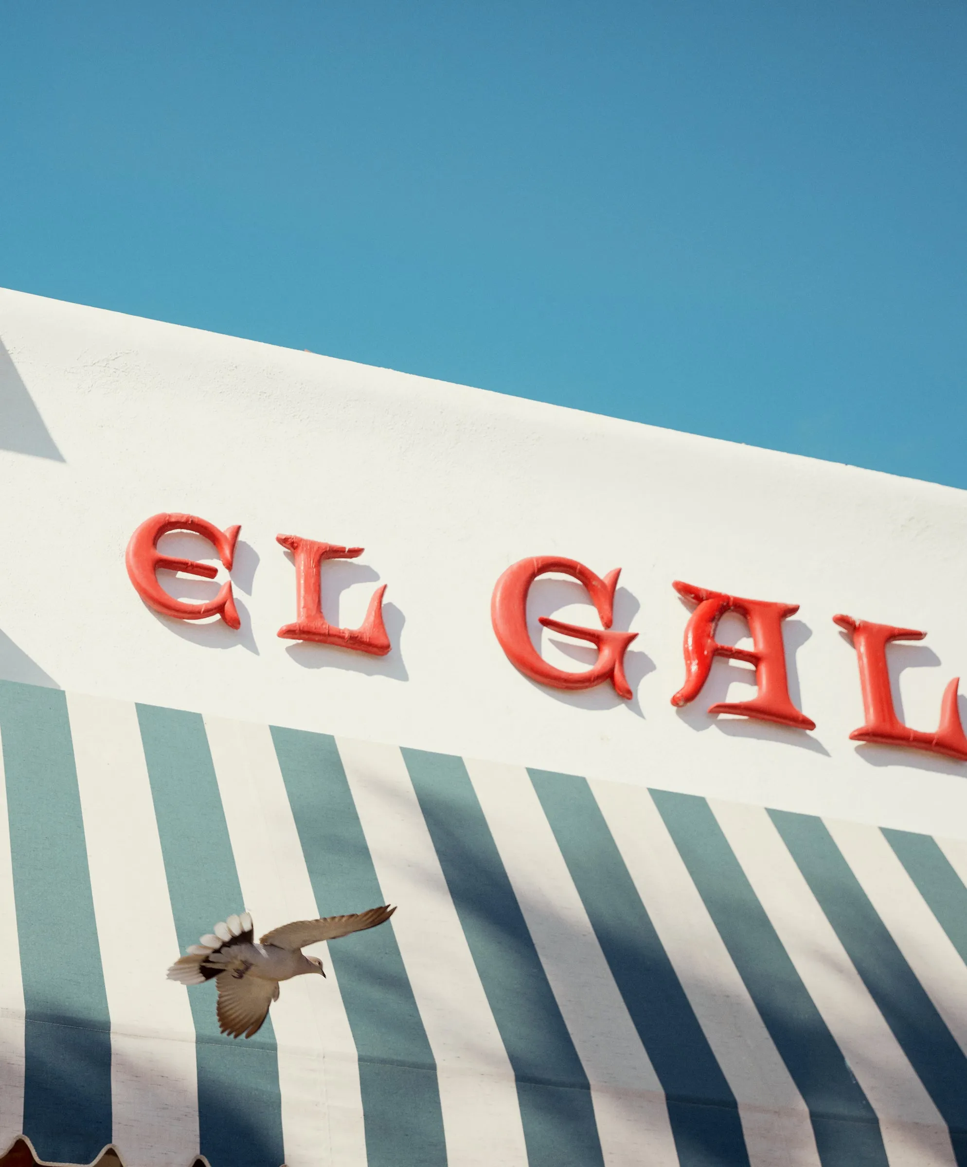 Sojourn Boy Tee - Outerworn sold by Outerknown product image thumbnail 3