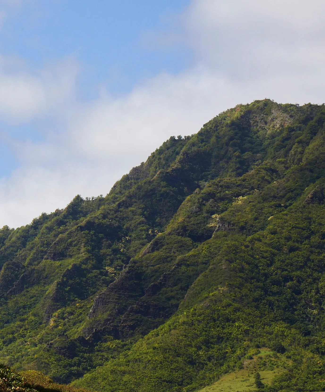 S.E.A. Suit L/S - FINAL SALE sold by Outerknown product image thumbnail 3