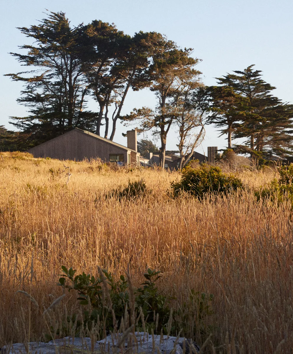 Local Straight Fit: Selvedge - FINAL SALE sold by Outerknown product image thumbnail 3