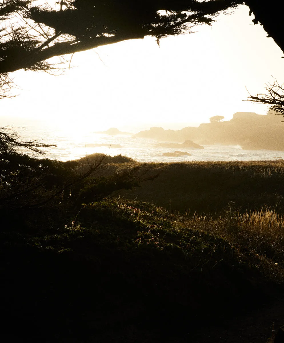 Atlantic Oxford Shirt - SALE sold by Outerknown product image thumbnail 3