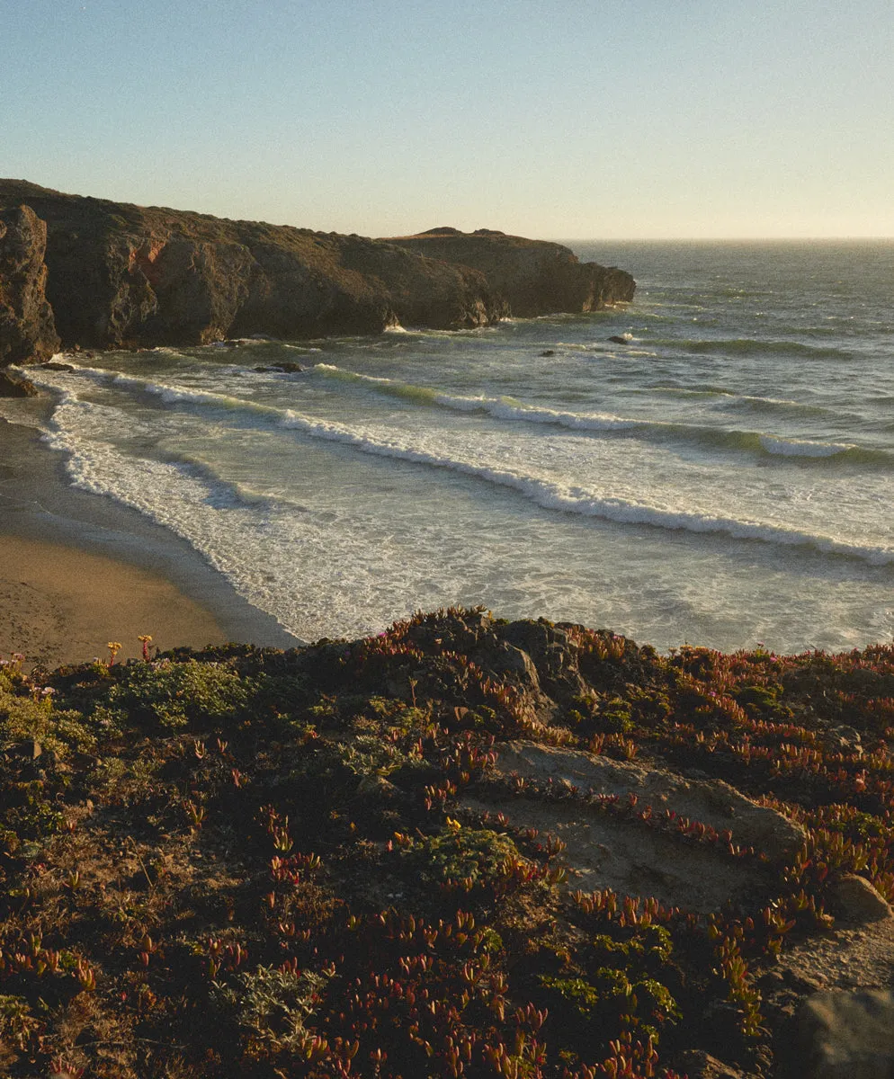 Voyager Utility Shorts - SALE sold by Outerknown product image thumbnail 3