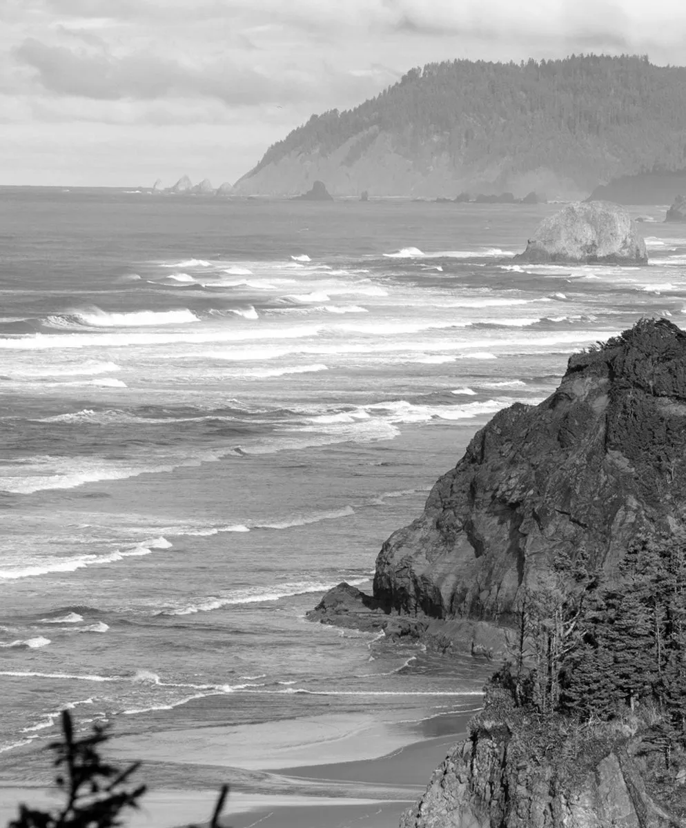 Warm-Up Knit Jogger - SALE sold by Outerknown product image thumbnail 5