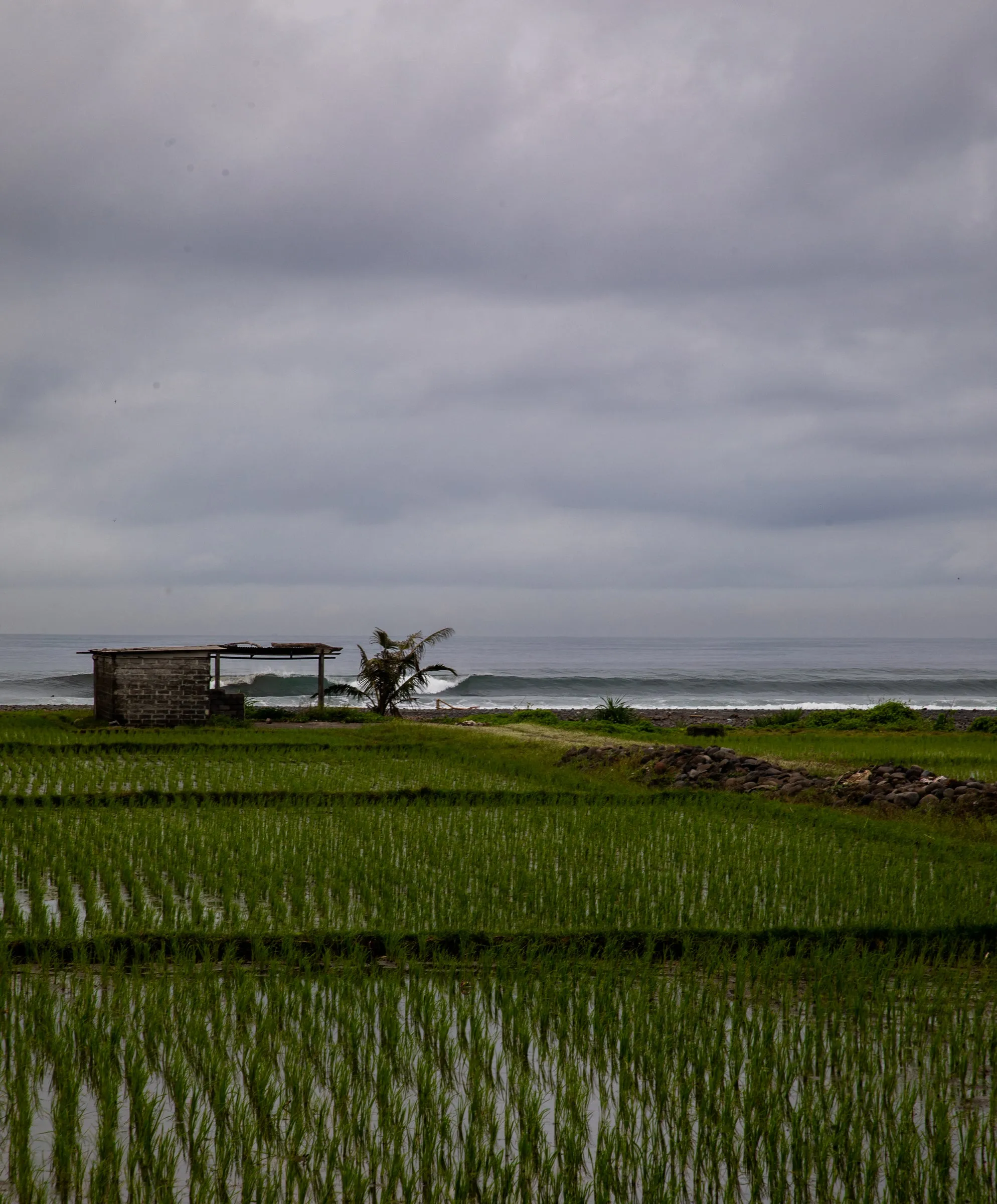 Seventyseven Cord Shirt - FINAL SALE sold by Outerknown product image thumbnail 3