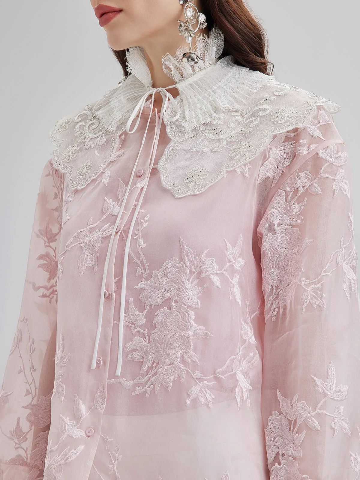 Embroidered Organza Sheer Blouse sold by Rich Radi Q's product image thumbnail 4