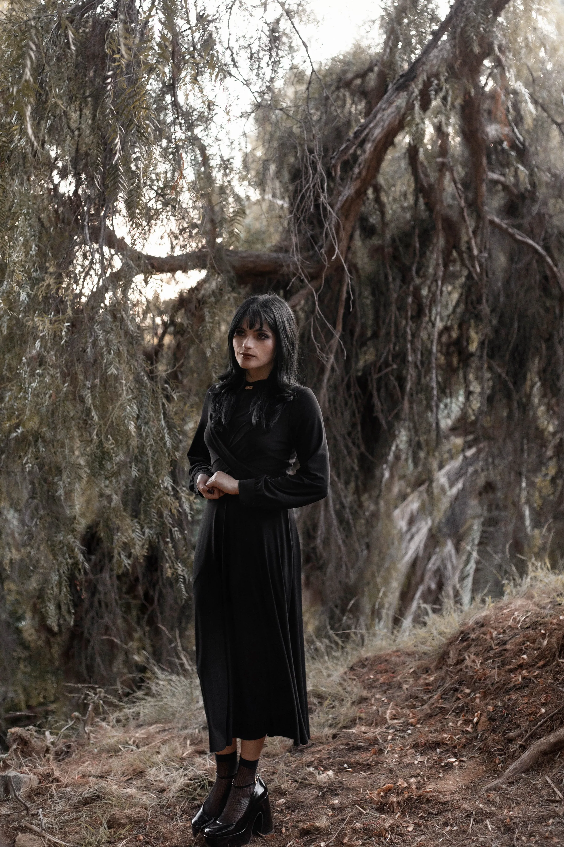 Manorwood Dress sold by Lively Ghosts product image thumbnail 3