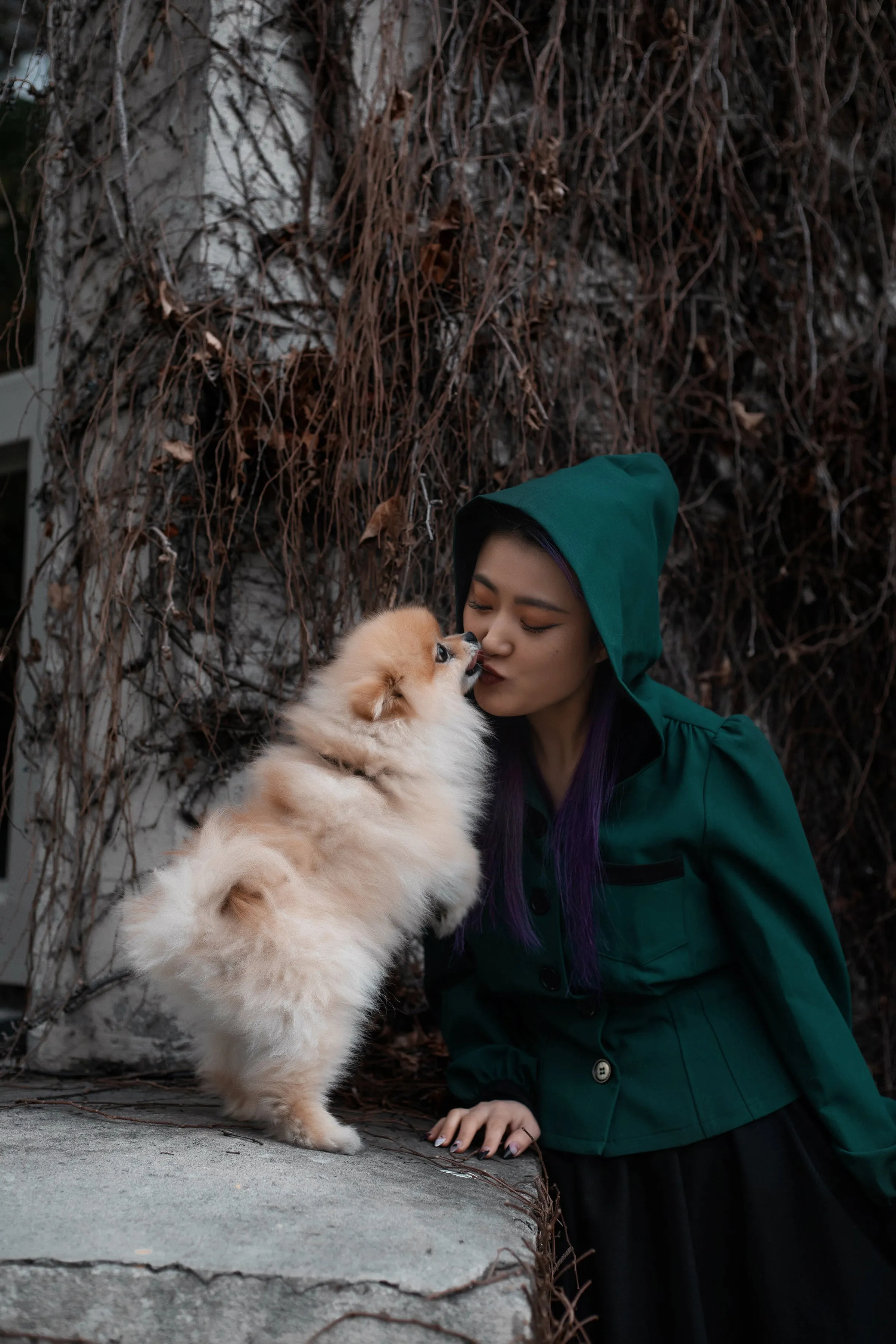 House of Frankenstein Jacket sold by Lively Ghosts product image thumbnail 5