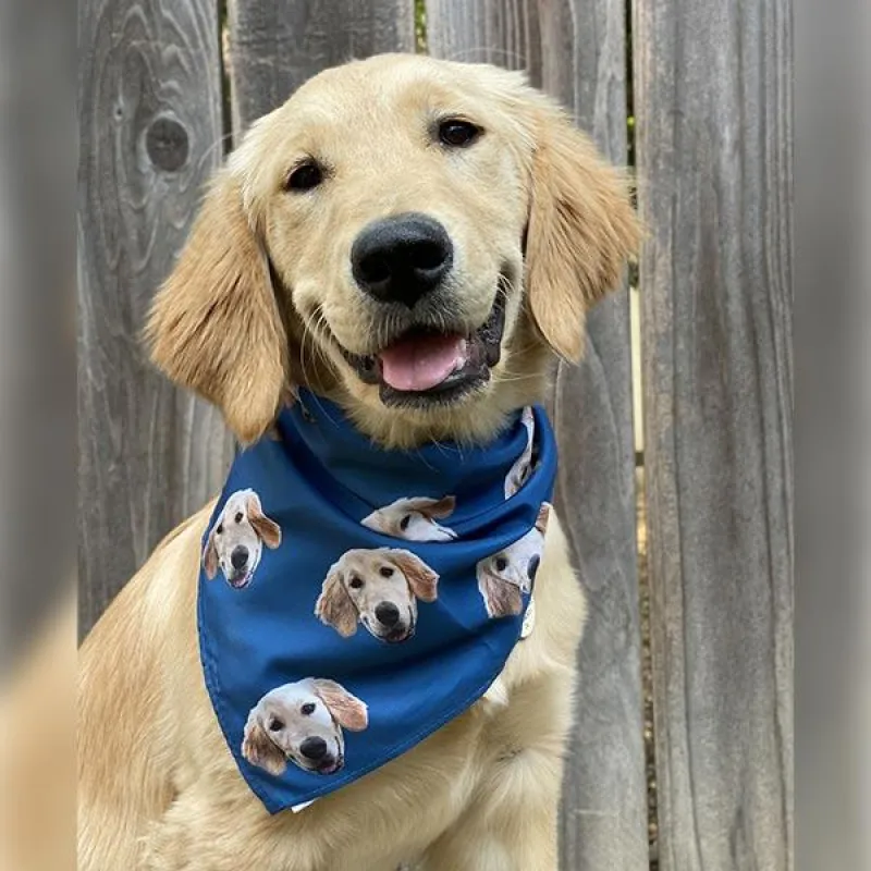 Custom Pet Art Pet Bandana sold by Pop Your Pup