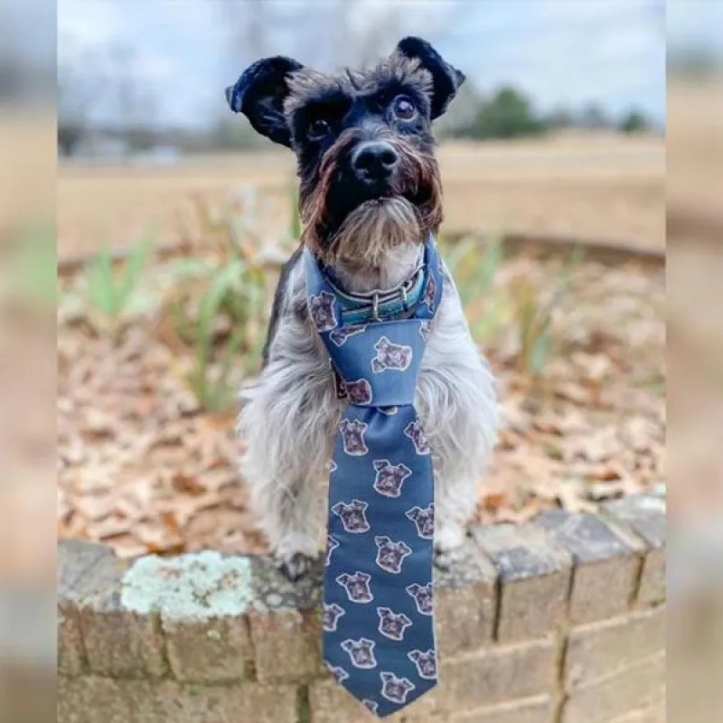 Custom Pet Art Neck Ties sold by Pop Your Pup