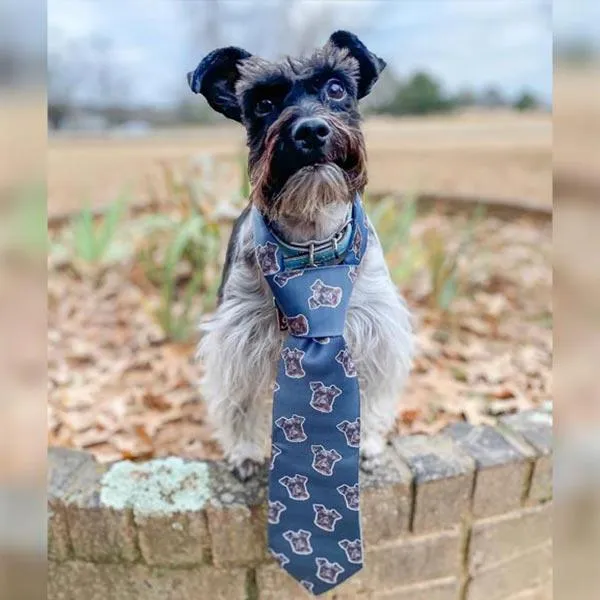 Custom Pet Art Neck Ties sold by Pop Your Pup
