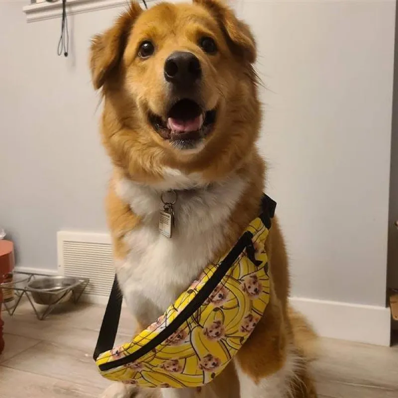 Custom Pet art Fanny Pack sold by Pop Your Pup