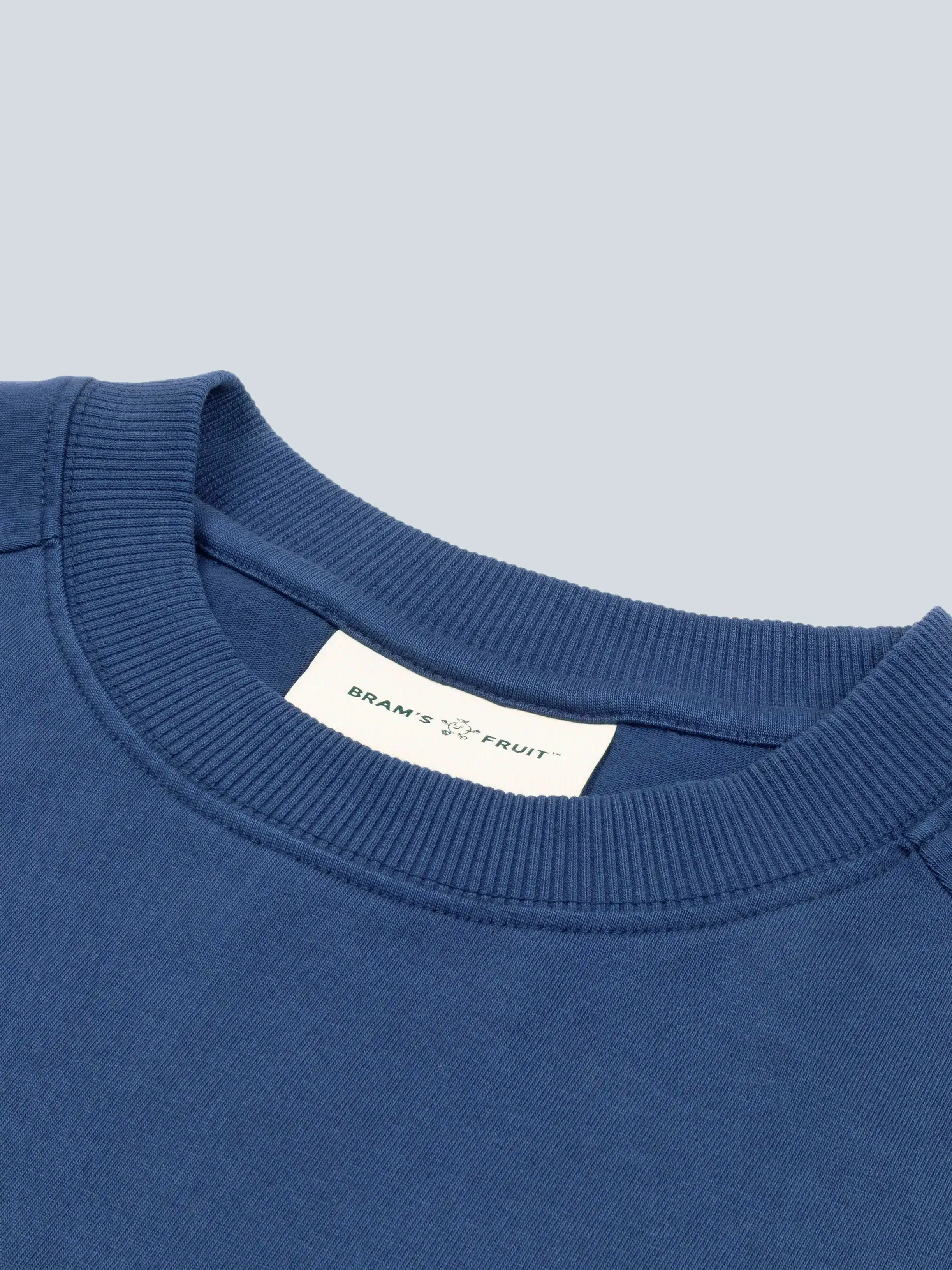 “F*ck Off I'm Gardening” Raglan T-Shirts - Blue sold by Bram's Fruit product image thumbnail 5