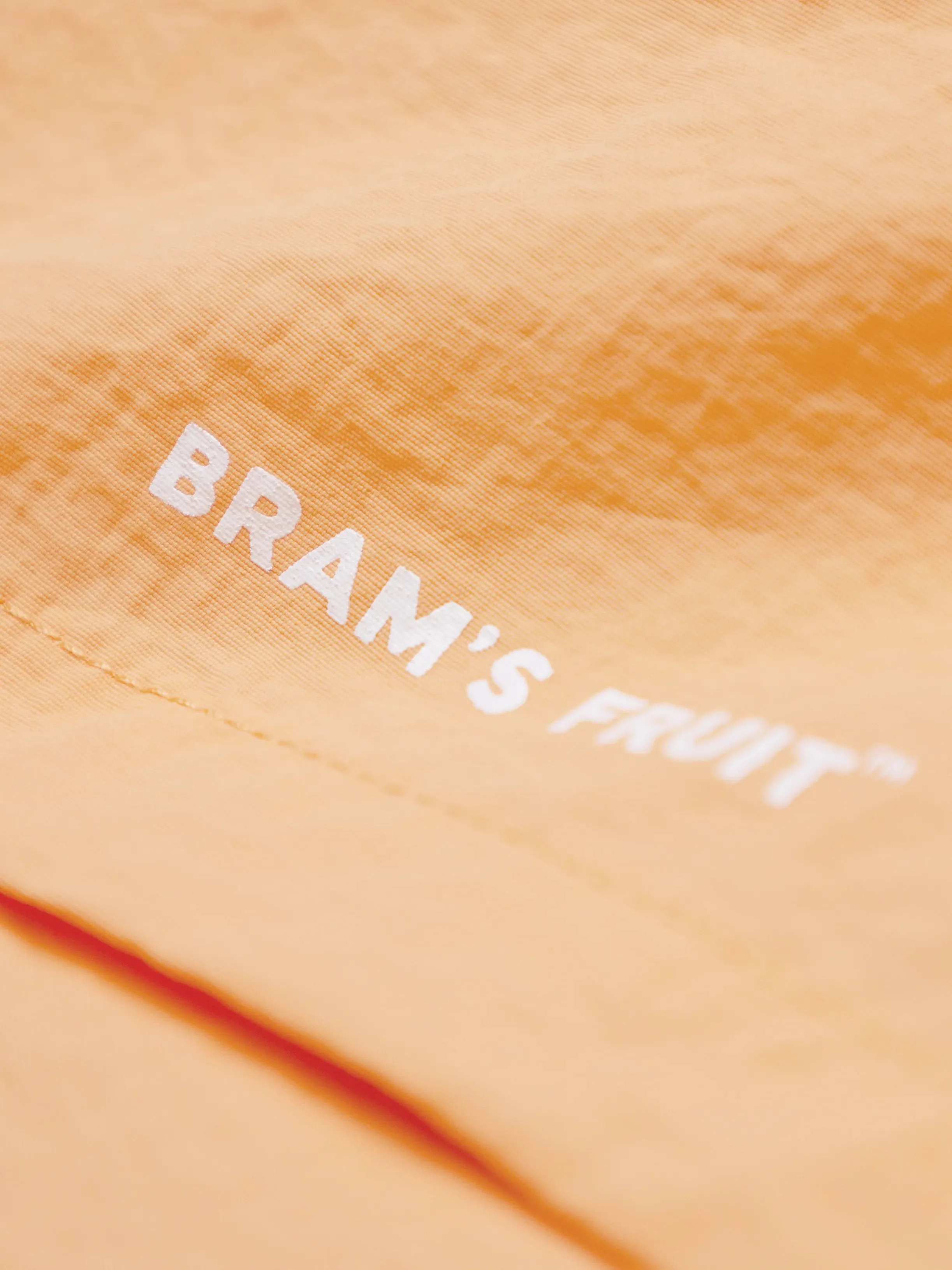 Logo Shorts - Orange sold by Bram's Fruit product image thumbnail 3