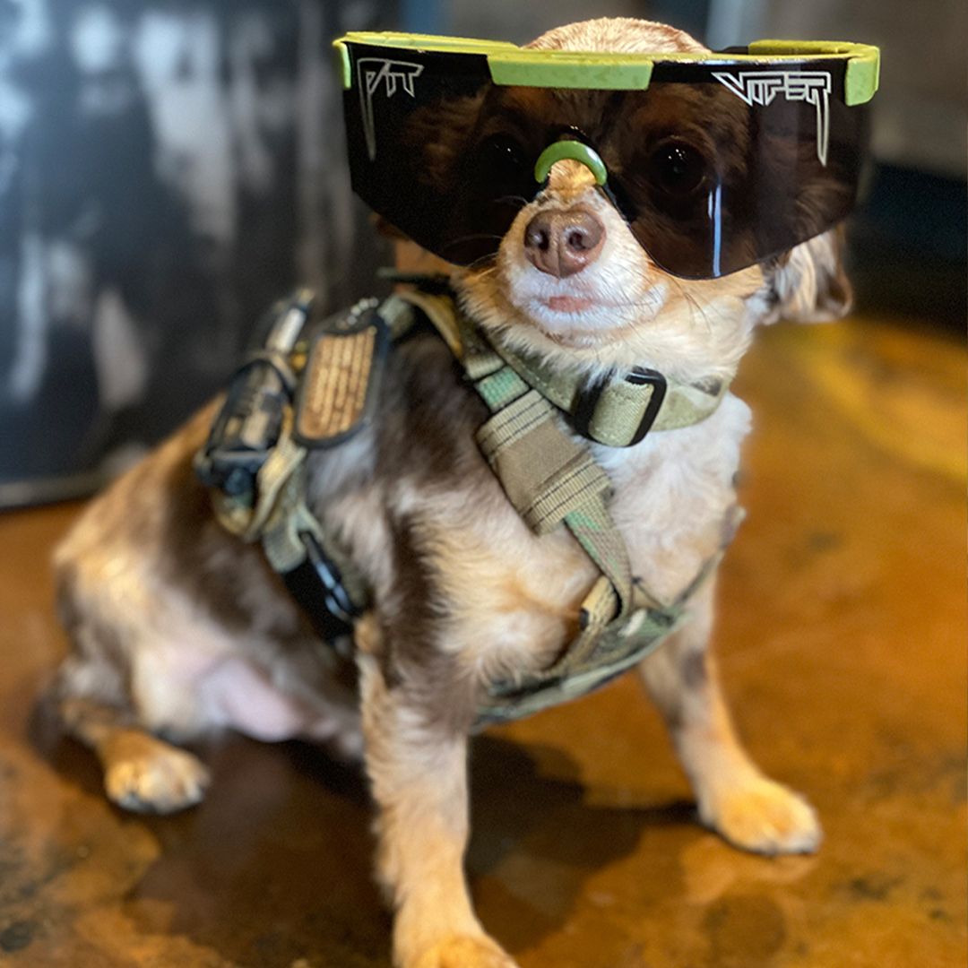 The NJP 2000s sold by PIT VIPER product image thumbnail 5