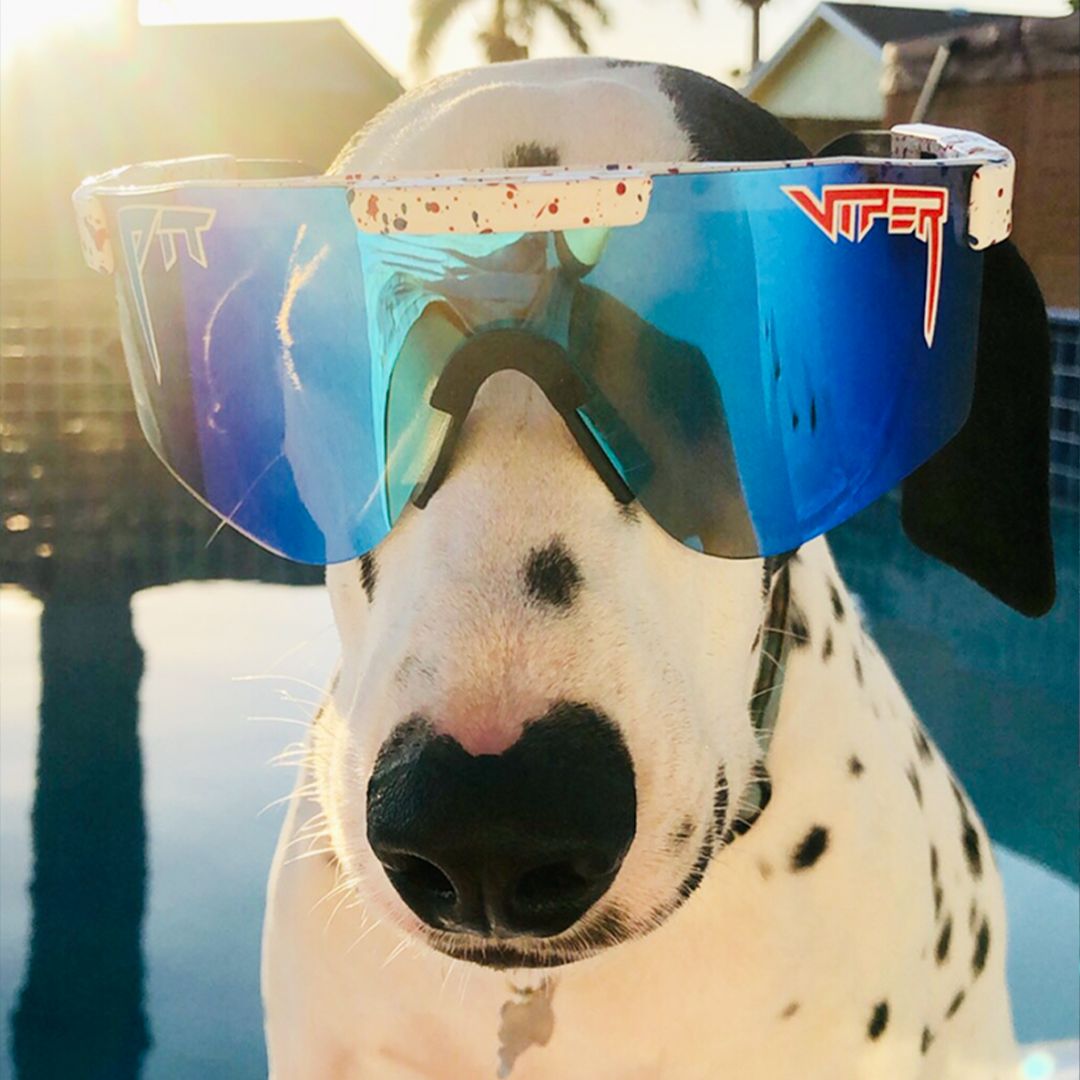 The Absolute Freedom Polarized Double Wide sold by PIT VIPER product image thumbnail 4