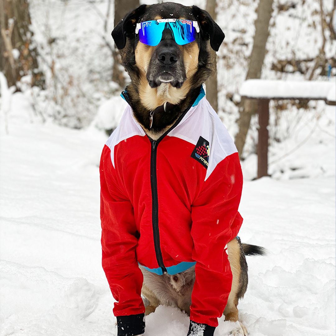 The Absolute Freedom Polarized sold by PIT VIPER product image thumbnail 5