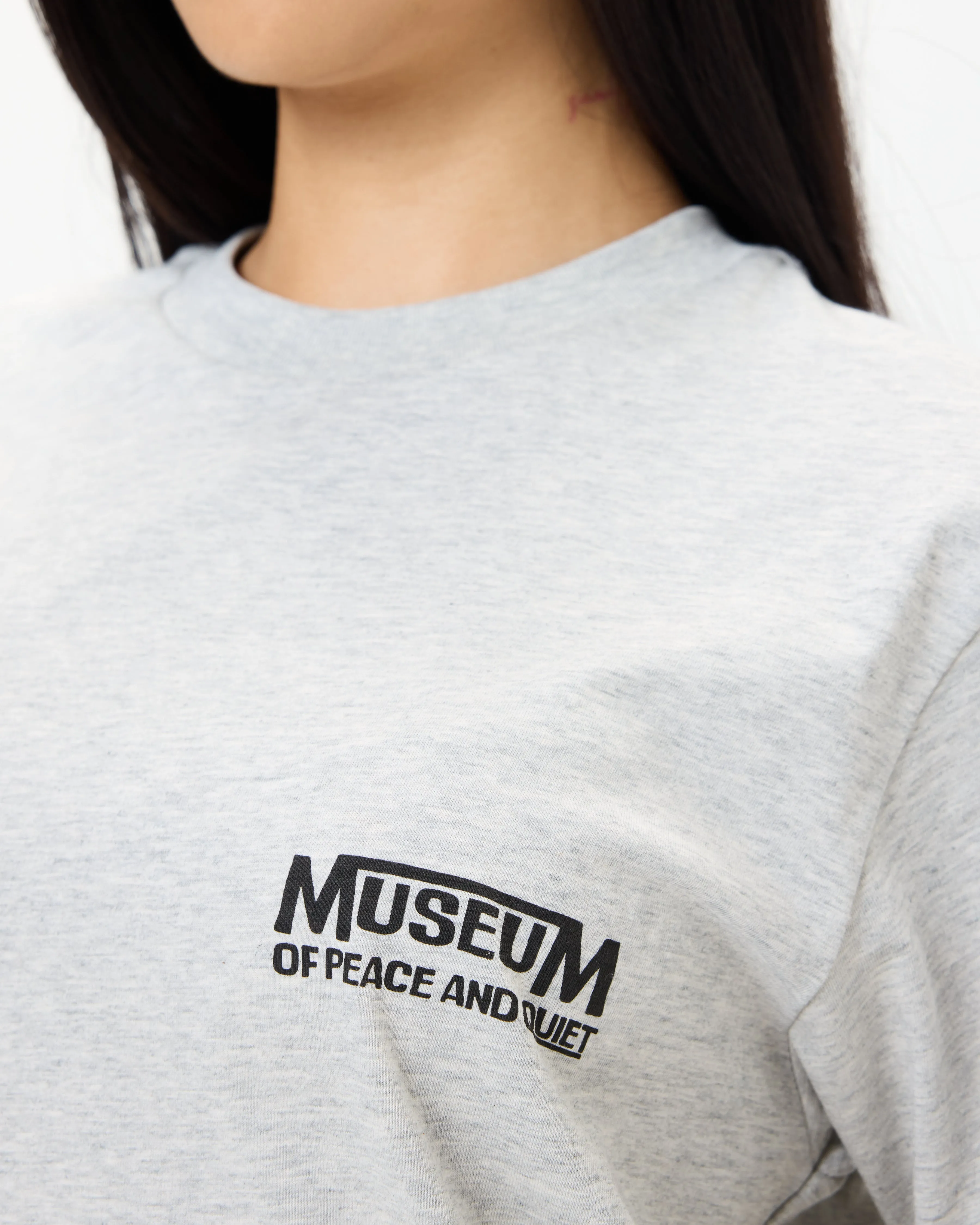 Establish Tee - Ash sold by Museum of Peace and Quiet product image thumbnail 4