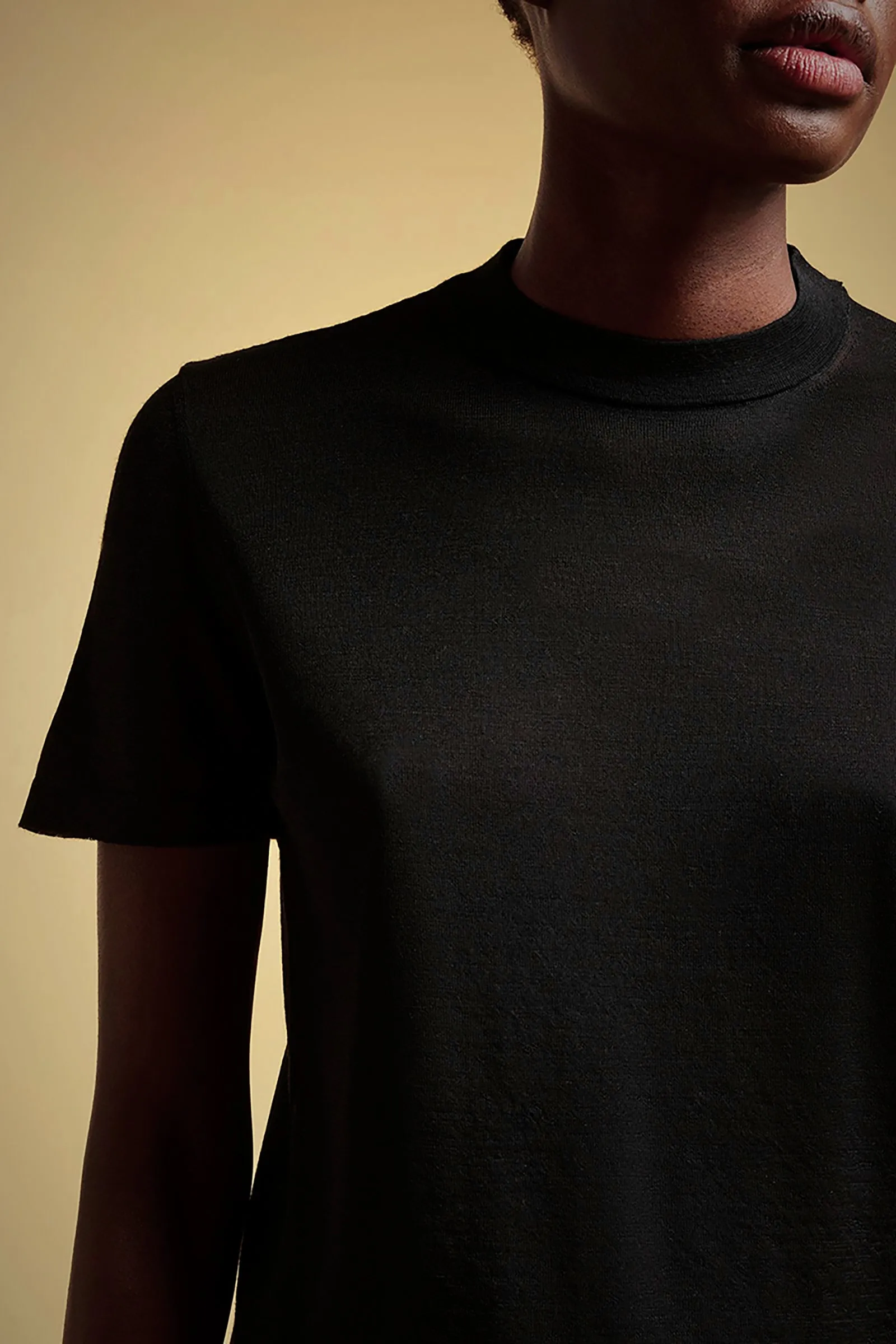 MAGLIA MANICA CORTA LANA-SETA sold by Liviana Conti product image thumbnail 3