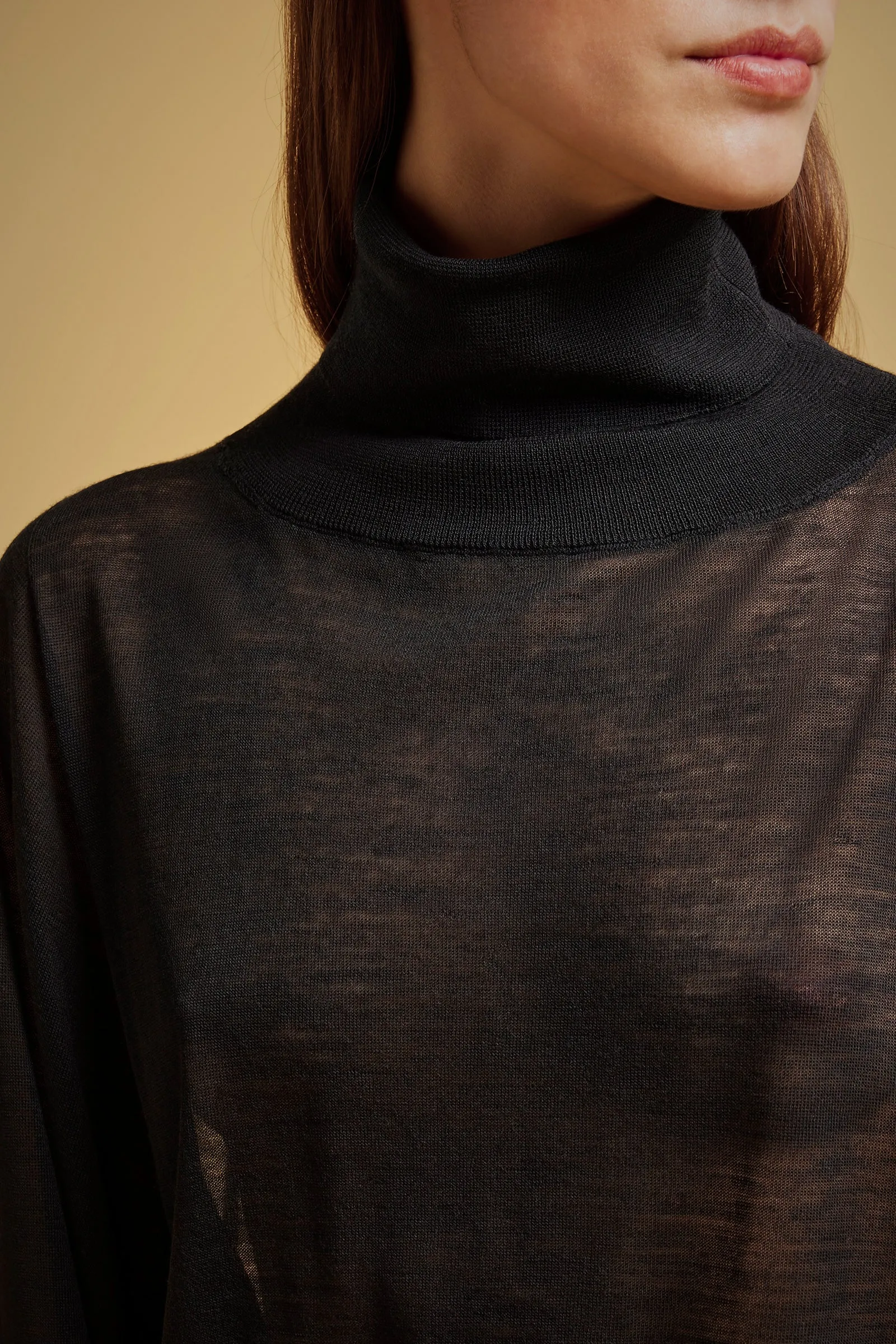 MAGLIA COLLO ALTO LANA-SETA sold by Liviana Conti product image thumbnail 4