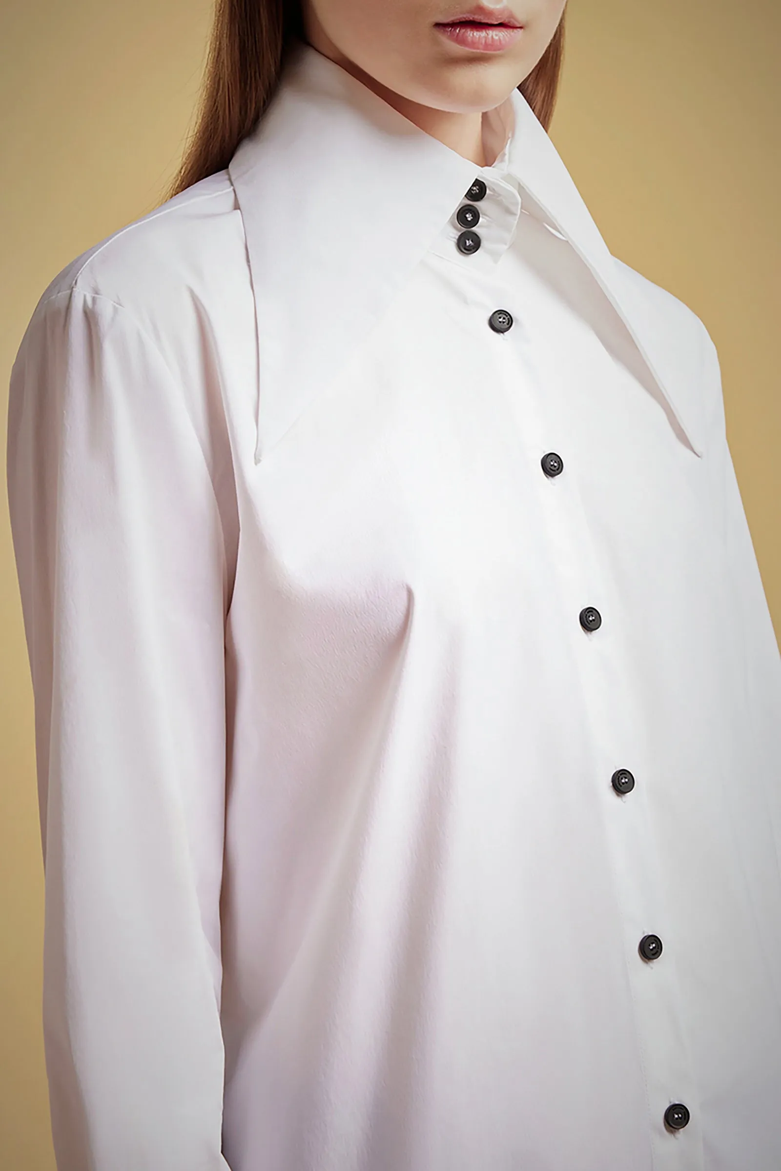 CAMICIA POPELINE COLLO PUNTE sold by Liviana Conti product image thumbnail 4