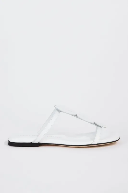 MULES FLAT DOTS sold by Liviana Conti