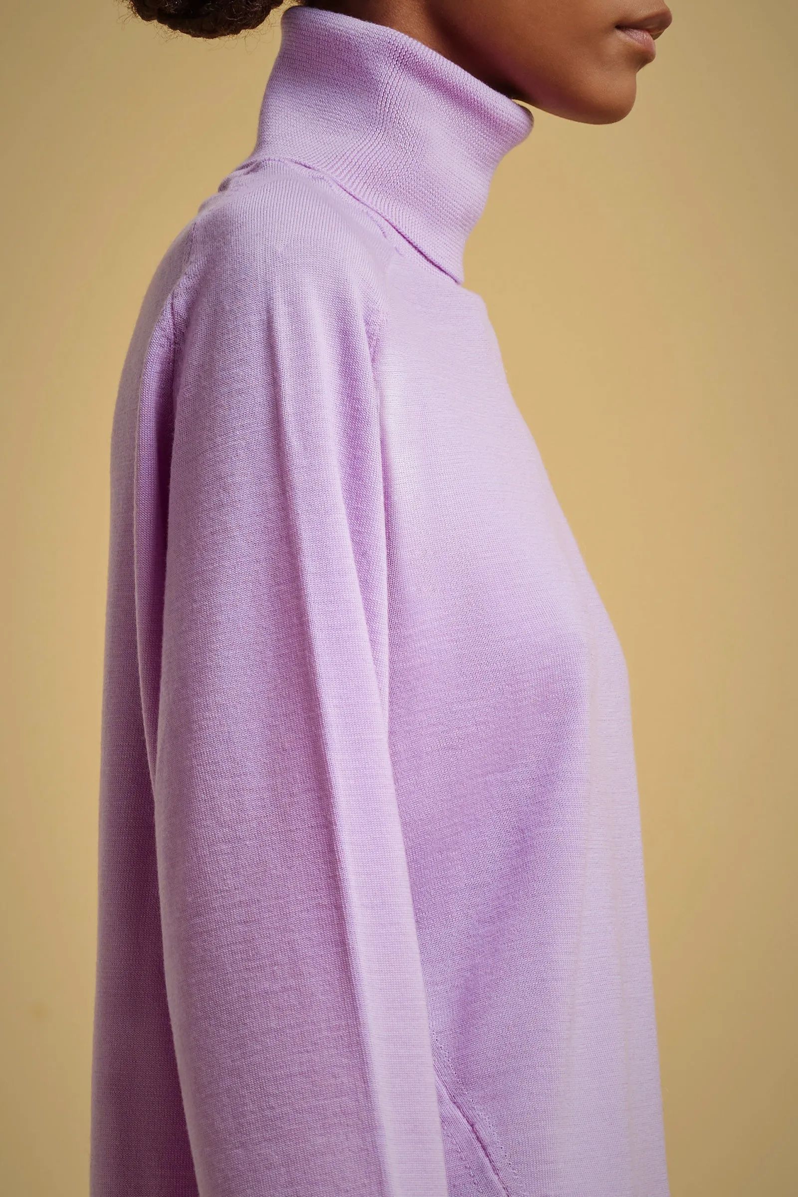 MAGLIA LANA COLLO ALTO sold by Liviana Conti product image thumbnail 3