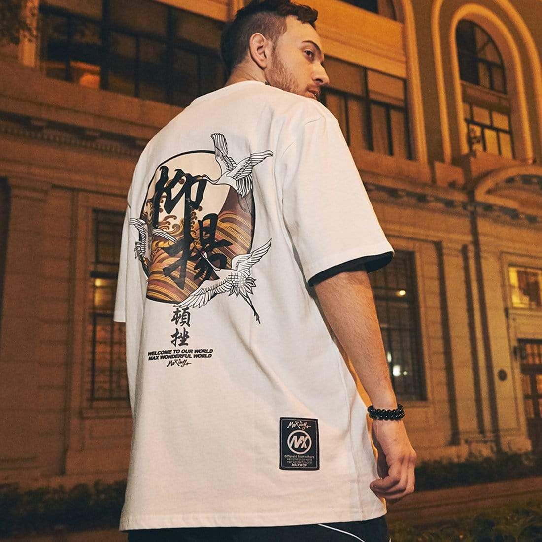 抑扬Ascent & Fall T-Shirt sold by Yugen Theory