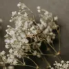 Ivy Ring sold by Elysium Hope