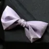 Men's Sweet Taro Violet Solid Color Bow Tie sold by FloralTrip