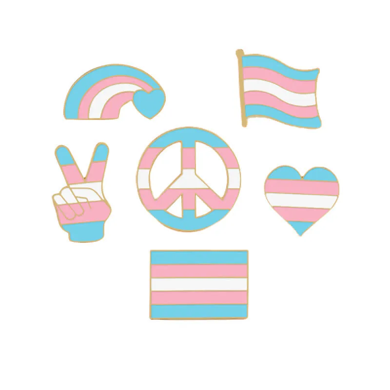 6Pcs Pride Day Pink & Blue Rainbow Flag Brooch sold by FloralTrip
