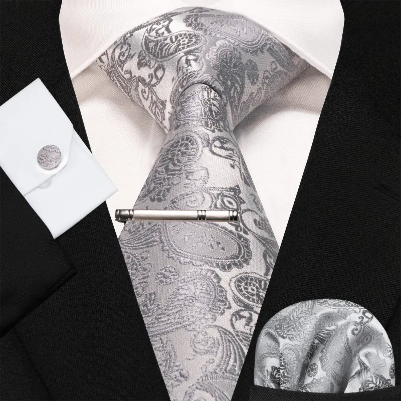 4Pcs Gray Men's Solid Paisley Necktie Set sold by FloralTrip