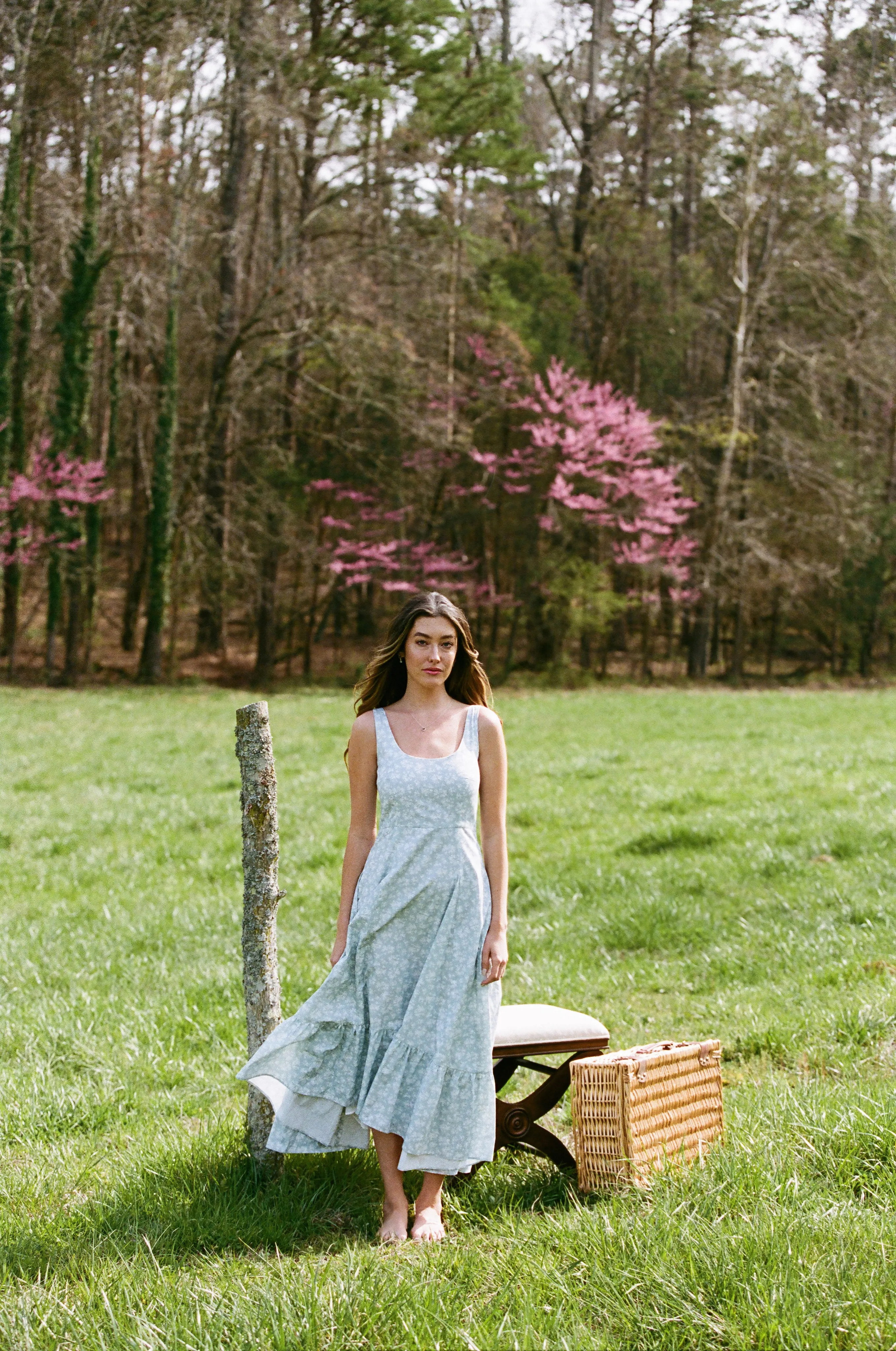 Lorraine Ruffle Midi Dress sold by Rêveux product image thumbnail 3