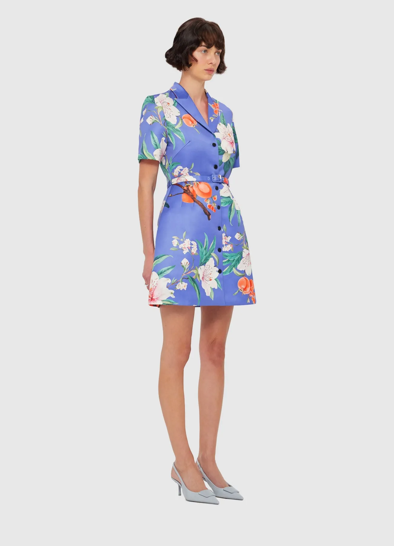 Brigitte Mini Dress - Lavish Print in Moonlight sold by LEO LIN product image thumbnail 3