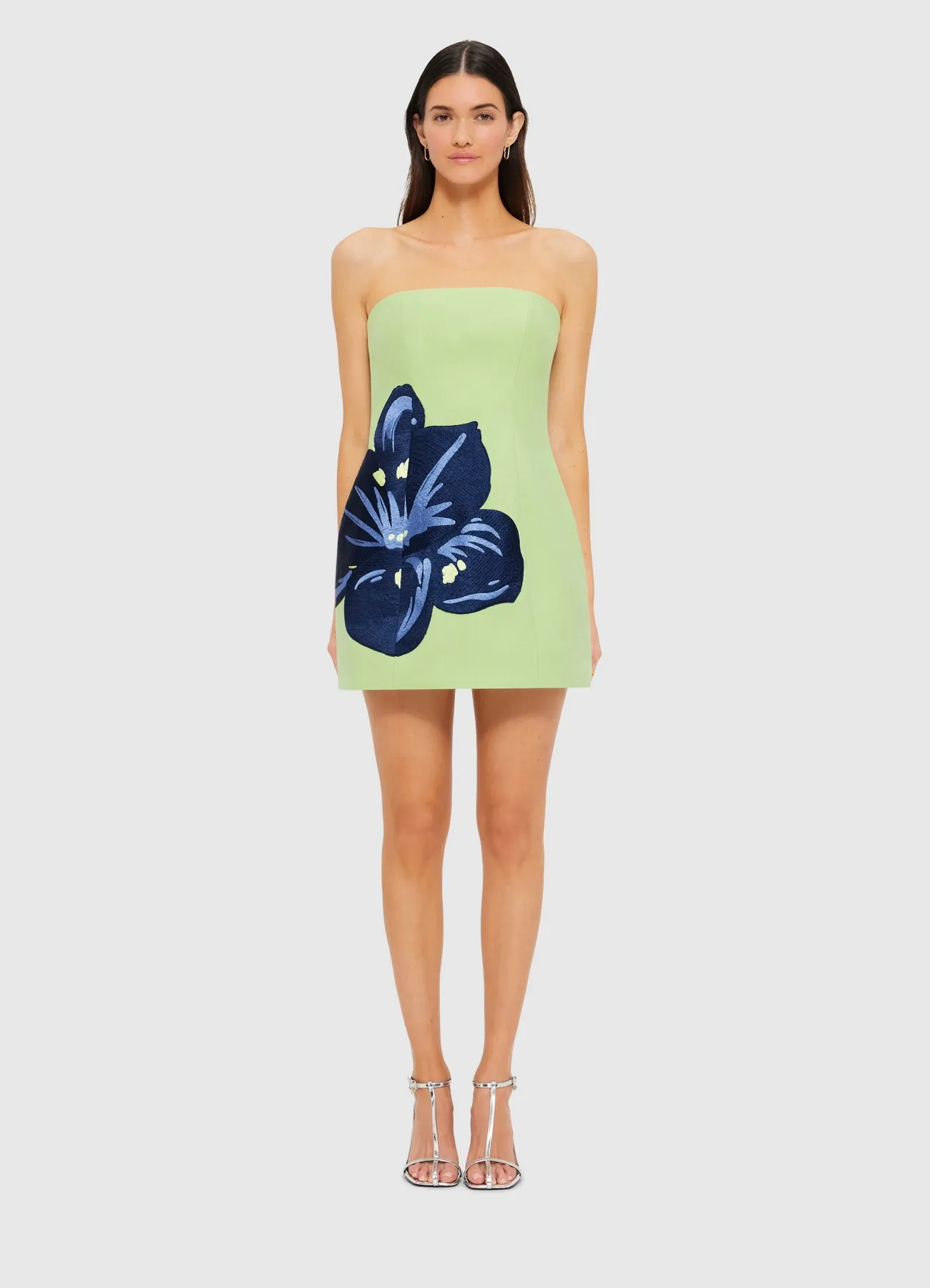 Roselle Embroidered Bustier Mini Dress - Hibiscus in Matcha sold by LEO LIN product image thumbnail 2
