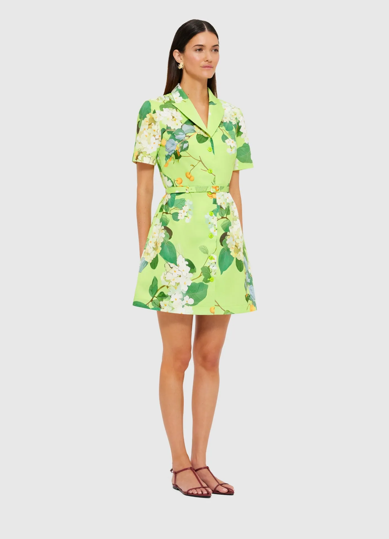 Brigitte Mini Dress - Hydrangea in Lime sold by LEO LIN product image thumbnail 3