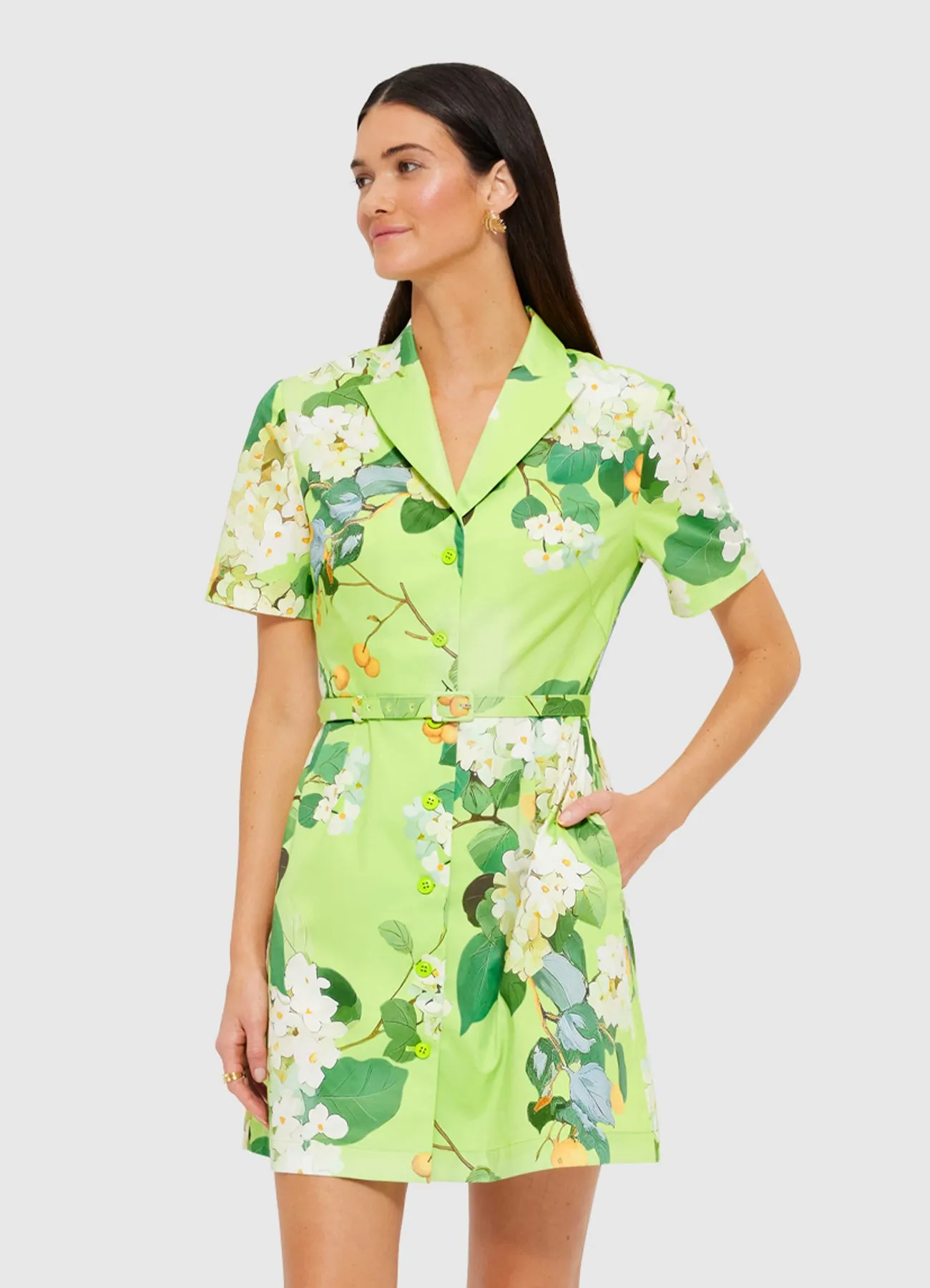 Brigitte Mini Dress - Hydrangea in Lime sold by LEO LIN product image thumbnail 5