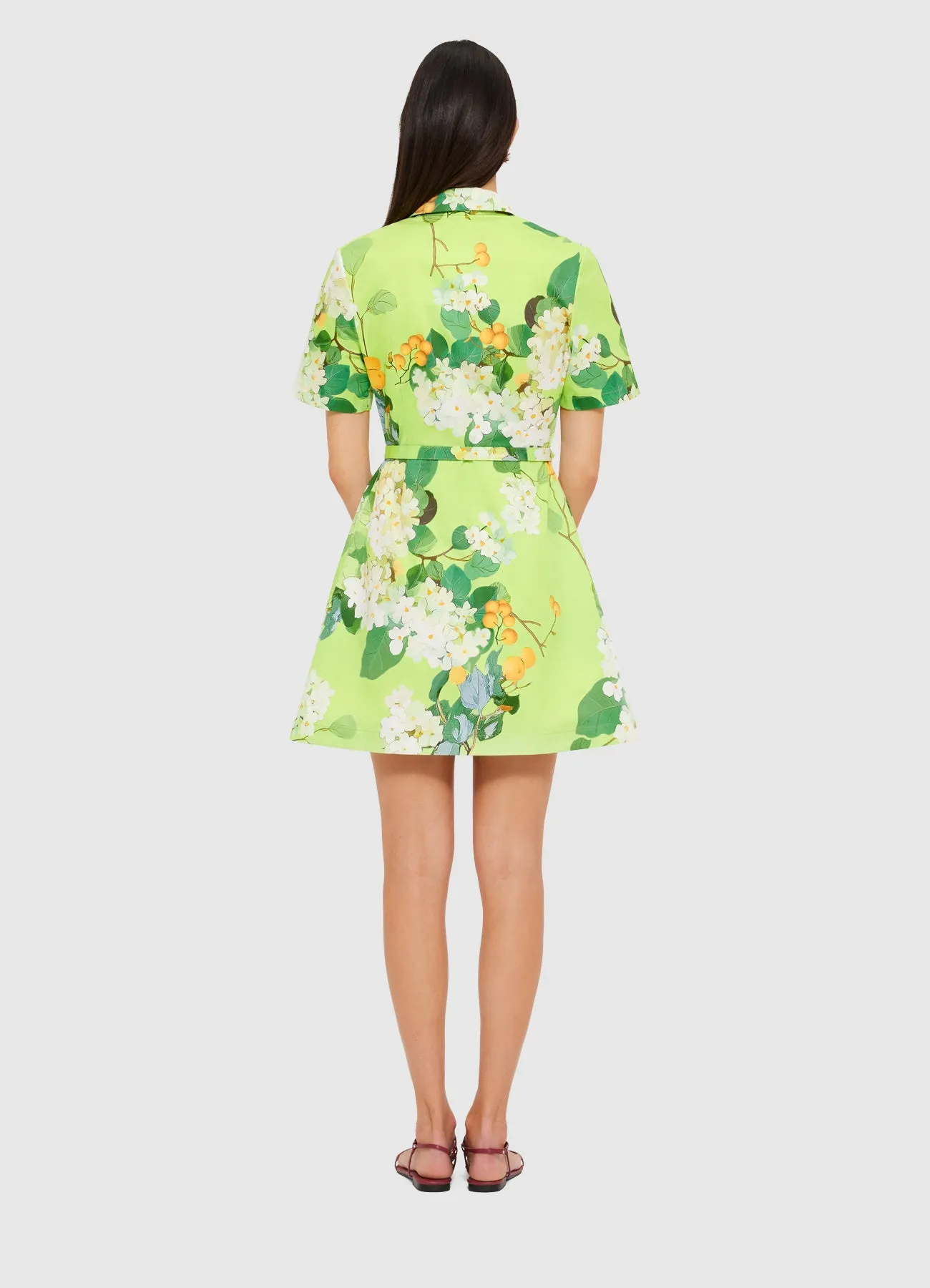 Brigitte Mini Dress - Hydrangea in Lime sold by LEO LIN product image thumbnail 4